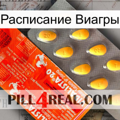 Расписание Виагры new01